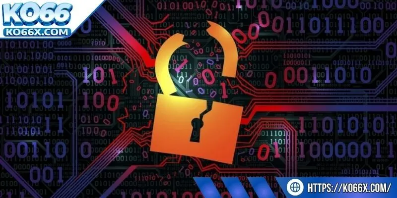 Các dữ liệu cho phép sử dụng để cải thiện chất lượng